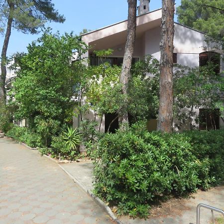 Soline Beach Apartments 比奥格勒·纳·莫鲁 外观 照片