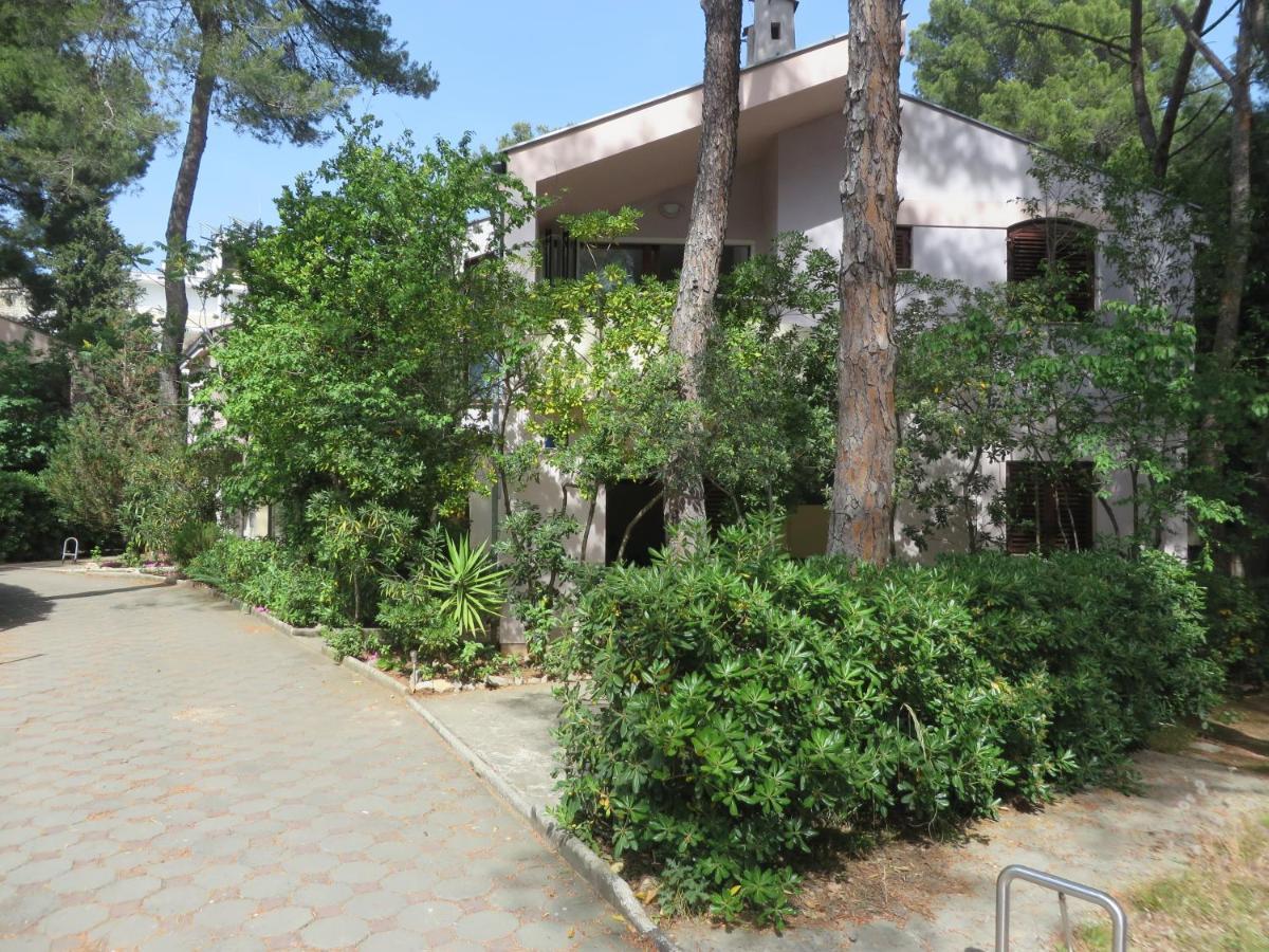 Soline Beach Apartments 比奥格勒·纳·莫鲁 外观 照片